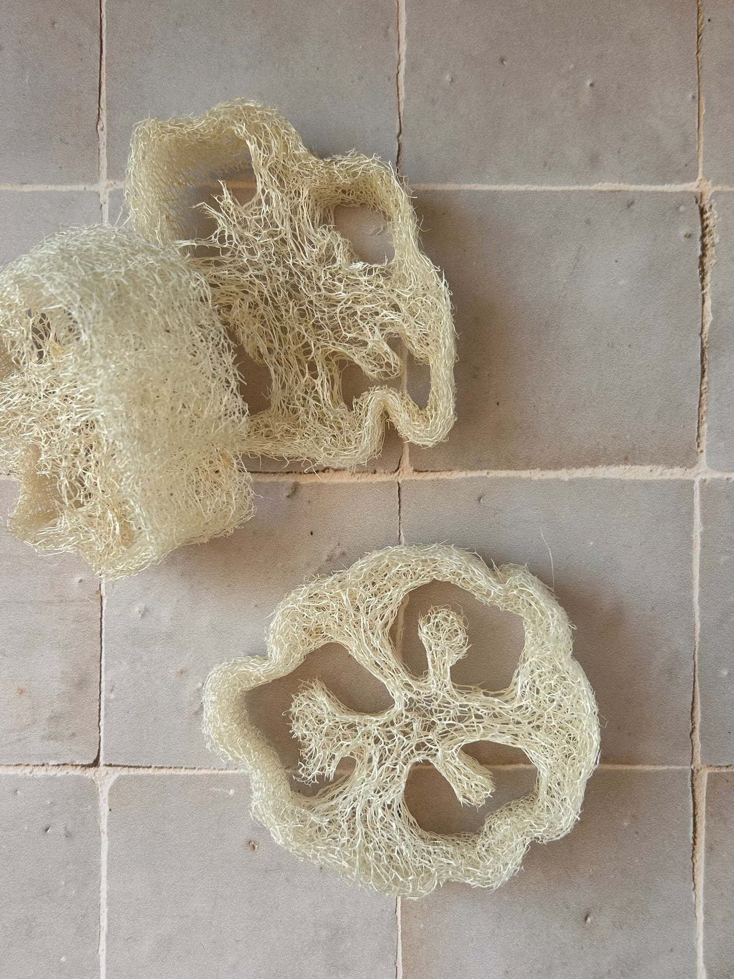 Luffa - Porte-savon