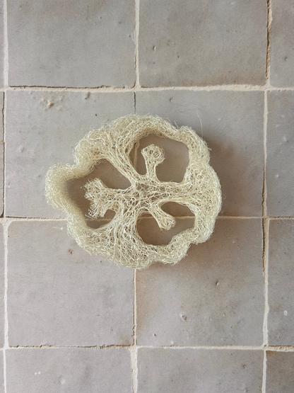 Luffa - Porte-savon