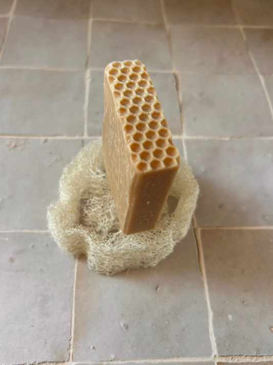 Luffa - Porte-savon