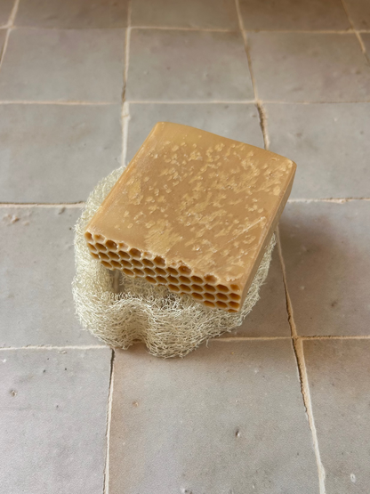 Luffa - Porte-savon